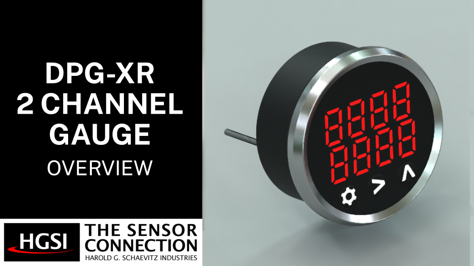 Overview of DPG-XR Series 2-Channel Digital Pyrometer Gauge Thumbnail